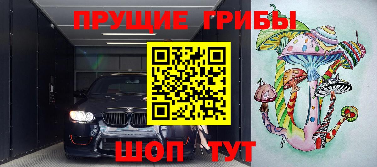 Галлюциногенные грибы Psilocybe Нижний Новгород